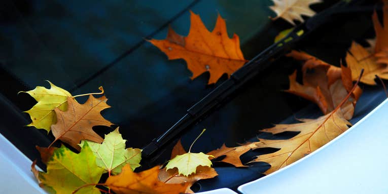 How to keep your car clean all autumn long