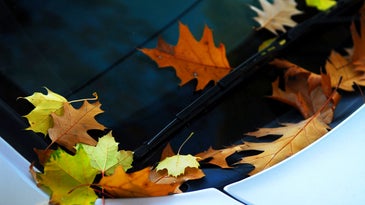 How to keep your car clean all autumn long