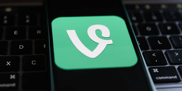 Vine could be next on the list for Musk to remake