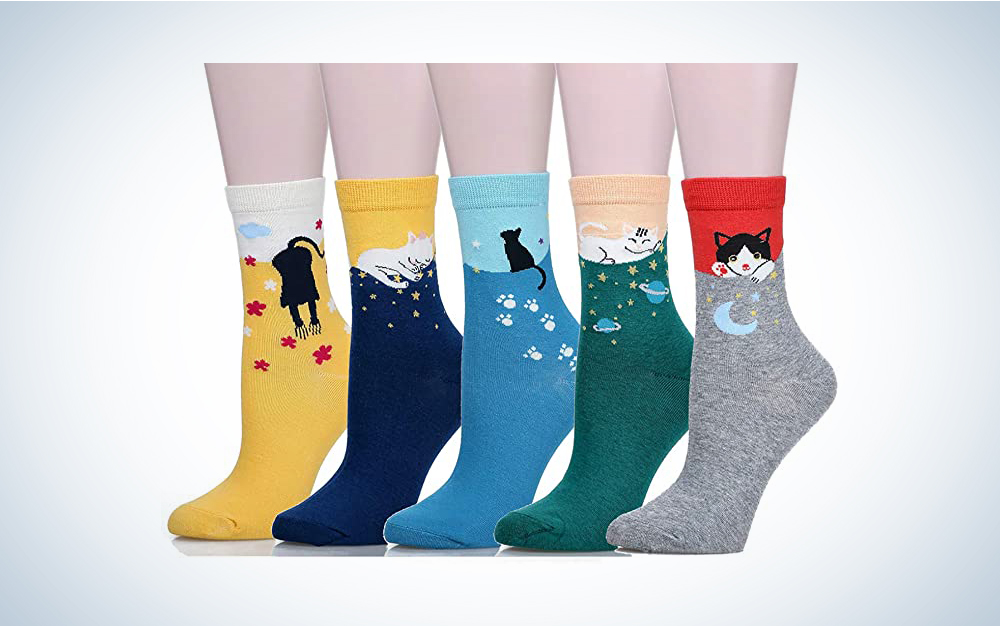 A lineup of cat socks on a blue and white background