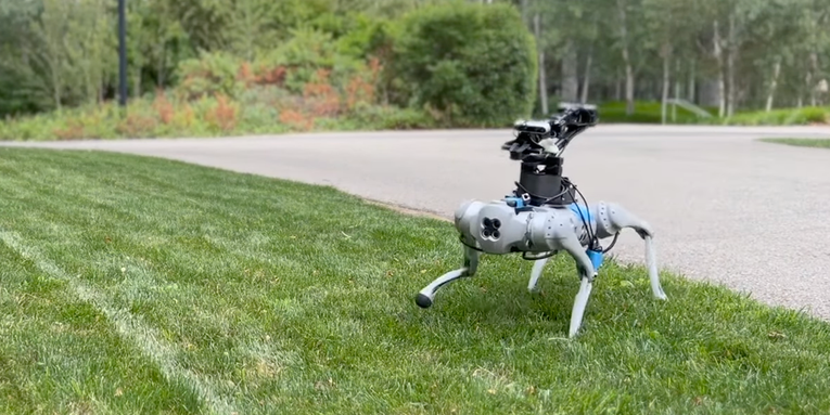 AI can teach robot dogs tricks for cheap
