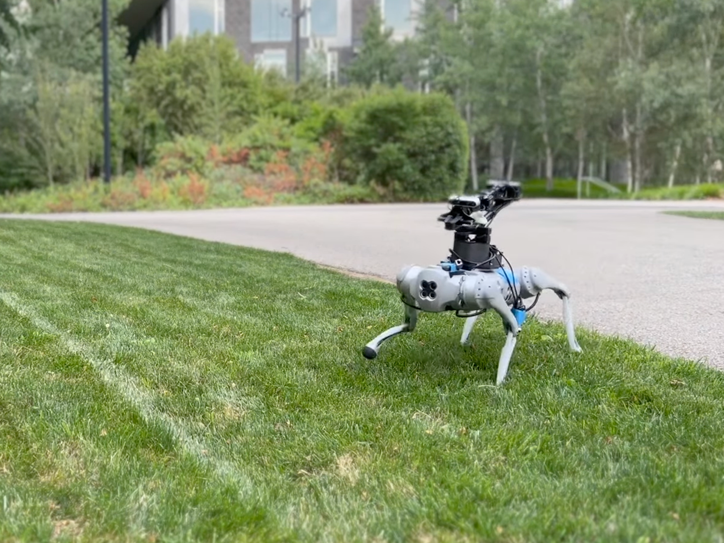 Quadrupedal robot with arm attachment walking across grass