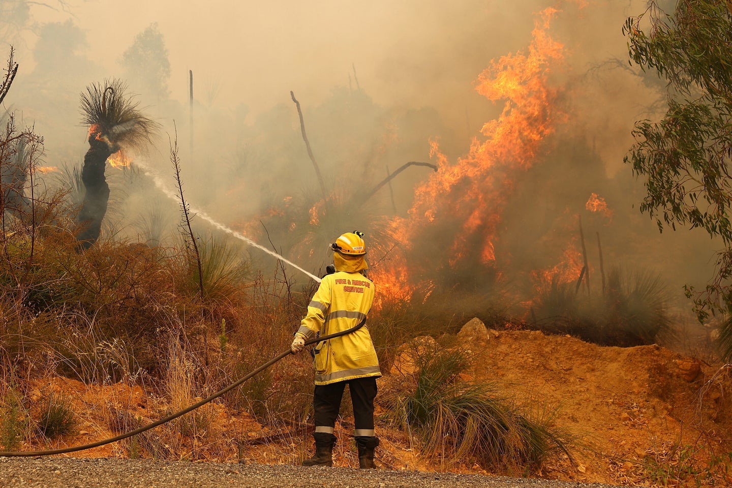Climate scientists are increasingly capable of identifying how anthropogenic warming has exacerbated specific extreme weather events, such as the devastating wildfires that hit Australia in 2019 and 2020.
