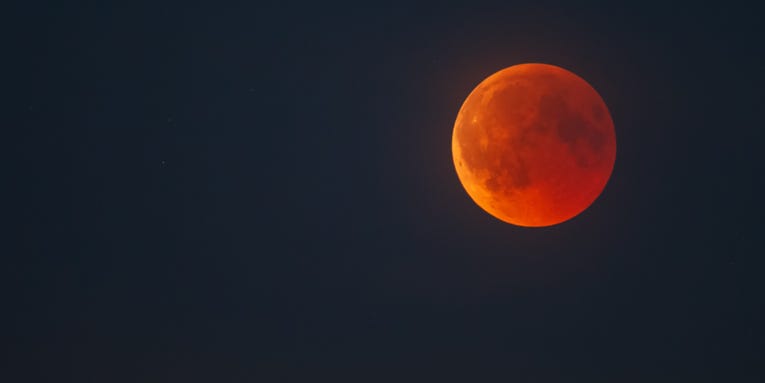 A blood moon, lunar eclipse, and fiery meteor shower will all grace the sky this week