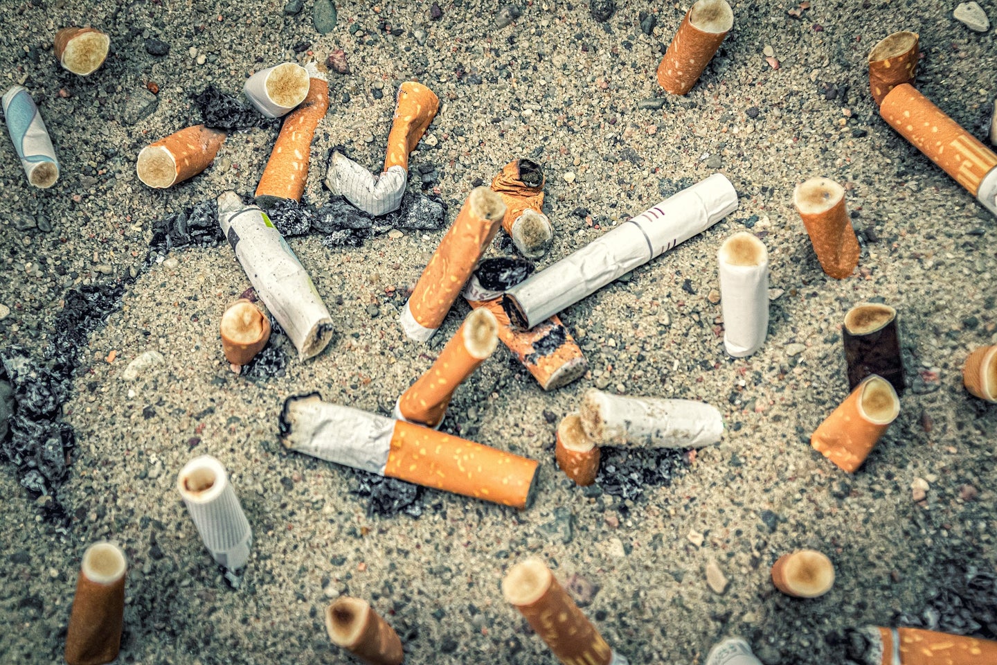 A new report estimates that 65 percent of cigarettes are littered in the US.