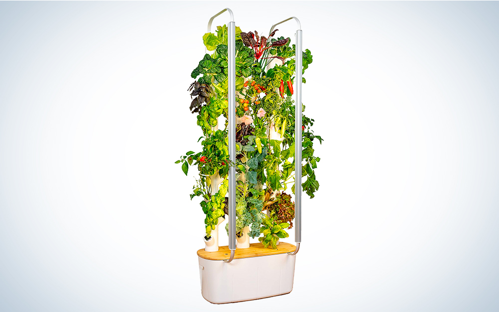 For the friend who loves fresh veggies: Gardyn 2.0 hydroponics growing system
