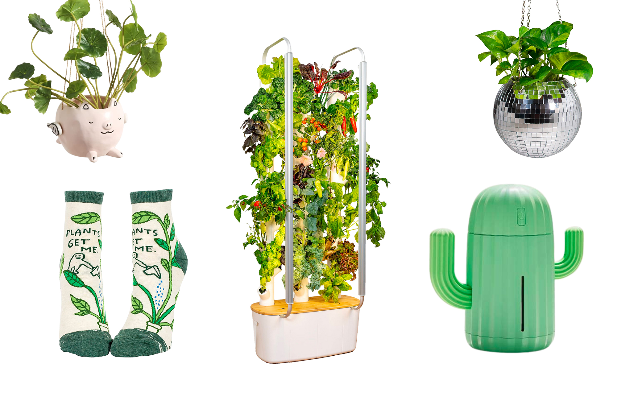 plant gifts, including socks, a hanging flying pig planter, a hanging disco ball planter, a mini cactus humidifier, and a large hydroponic grow tower