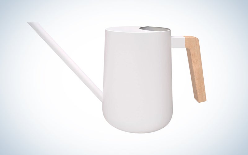 Indoor watering can with long spout