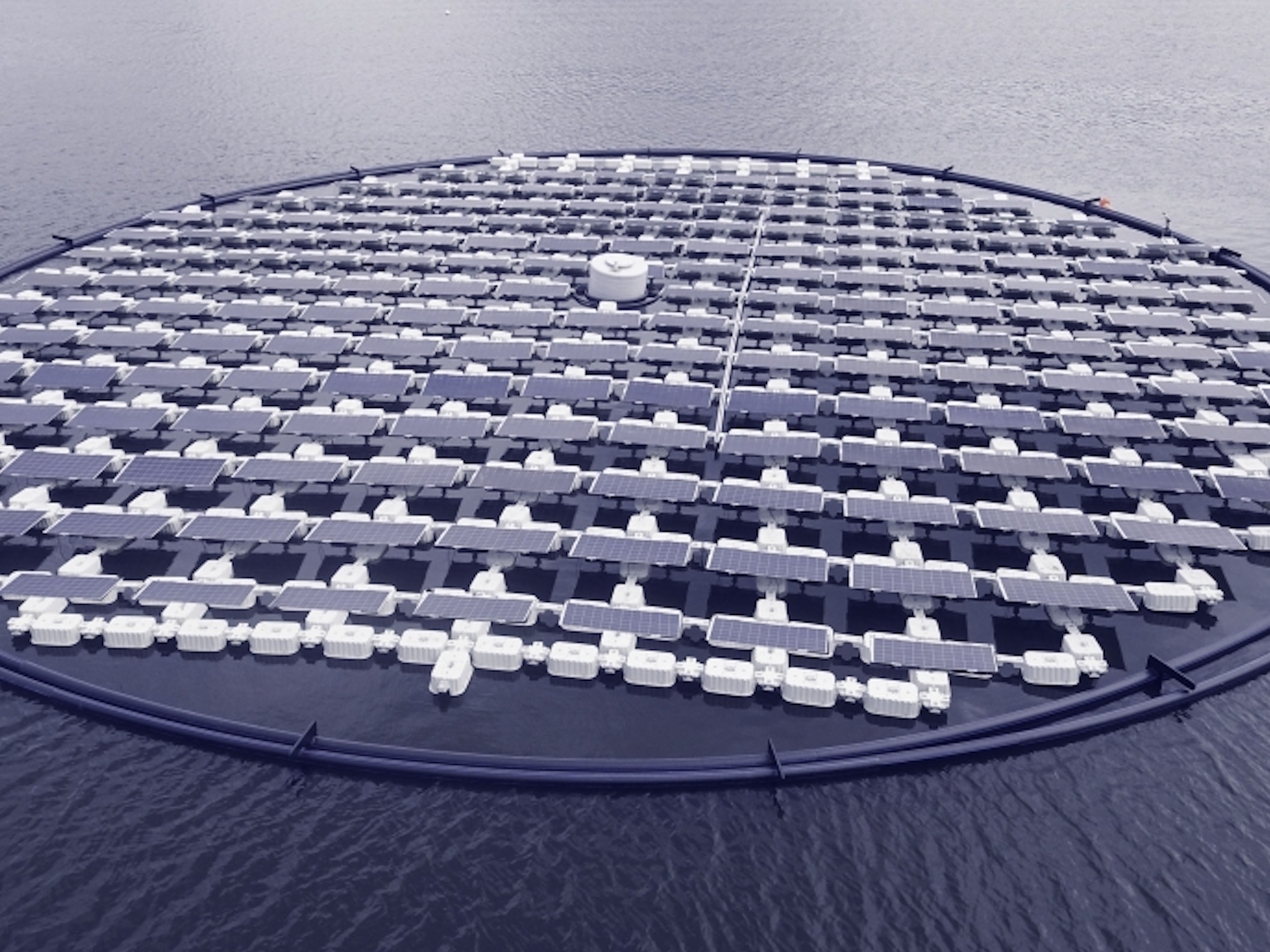 Solaris Float Proteus floating solar panel array on body of water