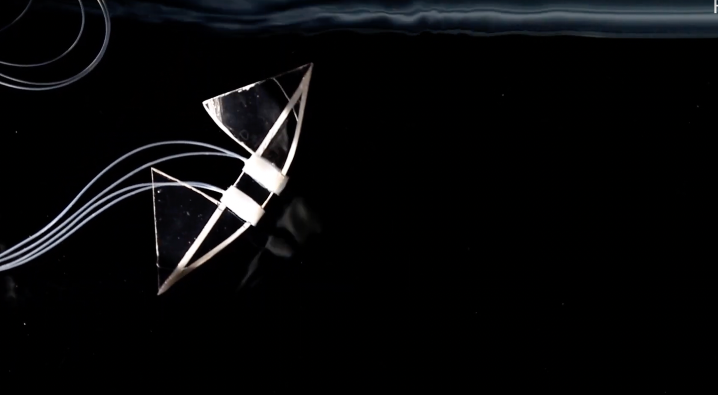 manta ray-inspired swimming robot
