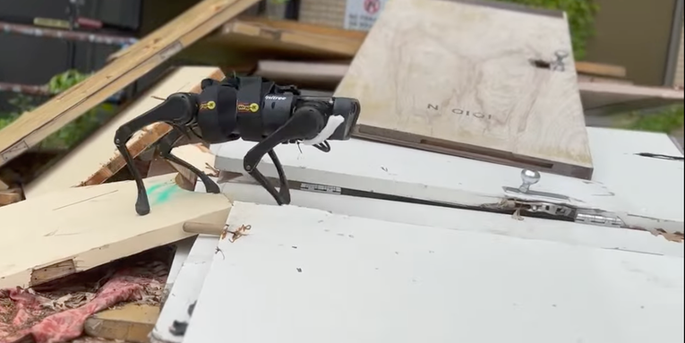 This agile robot dog uses a video camera in place of senses