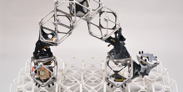 These robots can build almost anything—including clones of themselves
