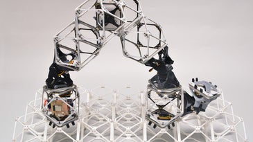 These robots can build almost anything—including clones of themselves