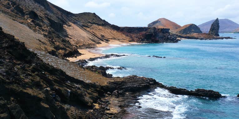 The Galapagos might stay cool as the world heats up