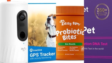 Early Cyber Monday deal: Save up to 40 percent on dog care products