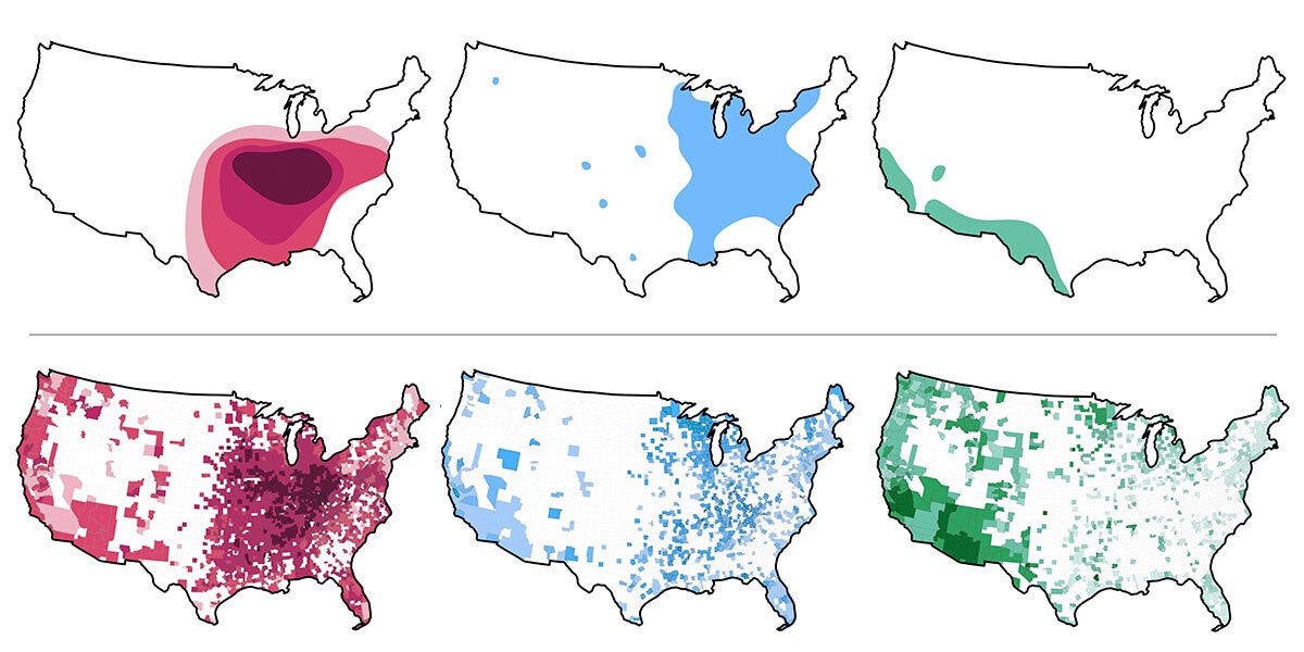 six maps of the US showing three different fungi and their distributions