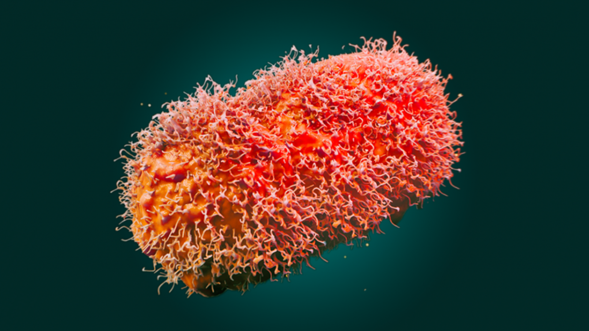 Mpox virus in red at the microscopic level
