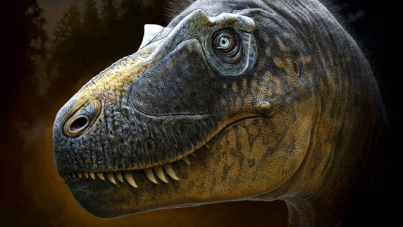 The newest member of the T. rex family has piercing eyes