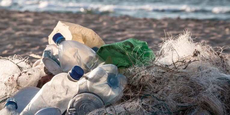 Plastic microfibers in the Mediterranean Sea are keeping bacteria afloat