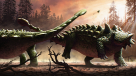 Feisty ankylosaurs clubbed each other with their tails