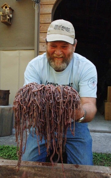 A worm grunter holding a pile of long pink earthworms