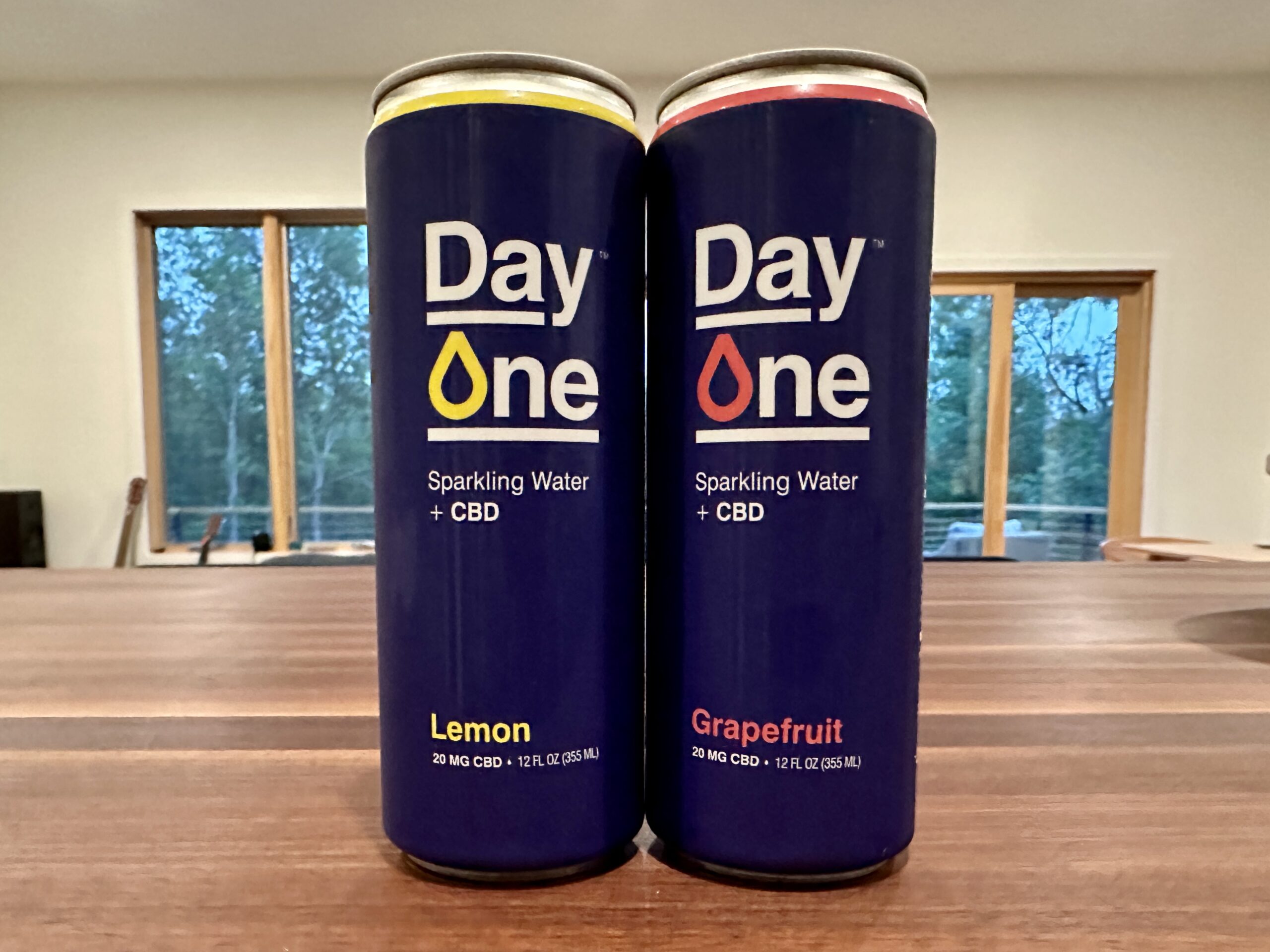 Day One Sparkling Water is one of the best non-alcoholic beverages infused with CBD.