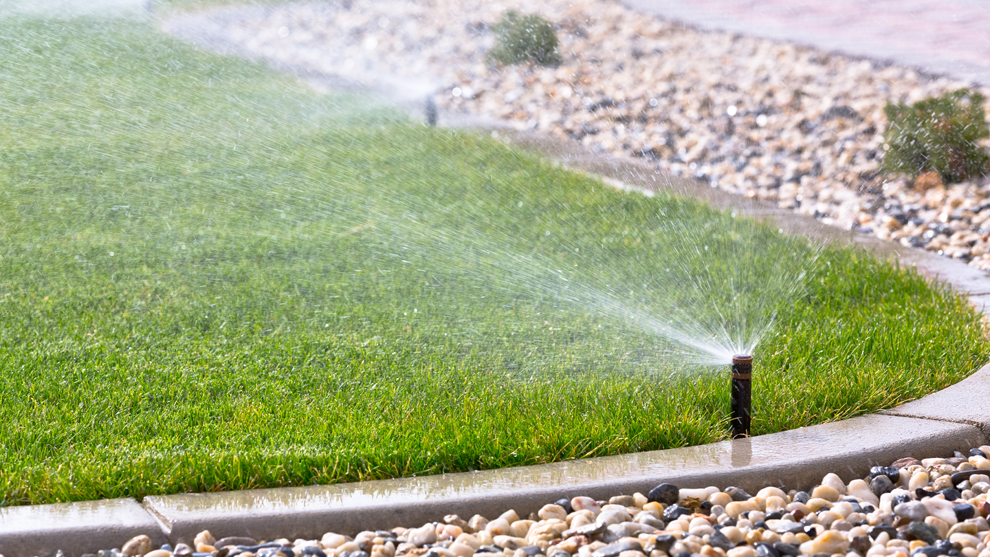 A sprinkler watering a lawn.