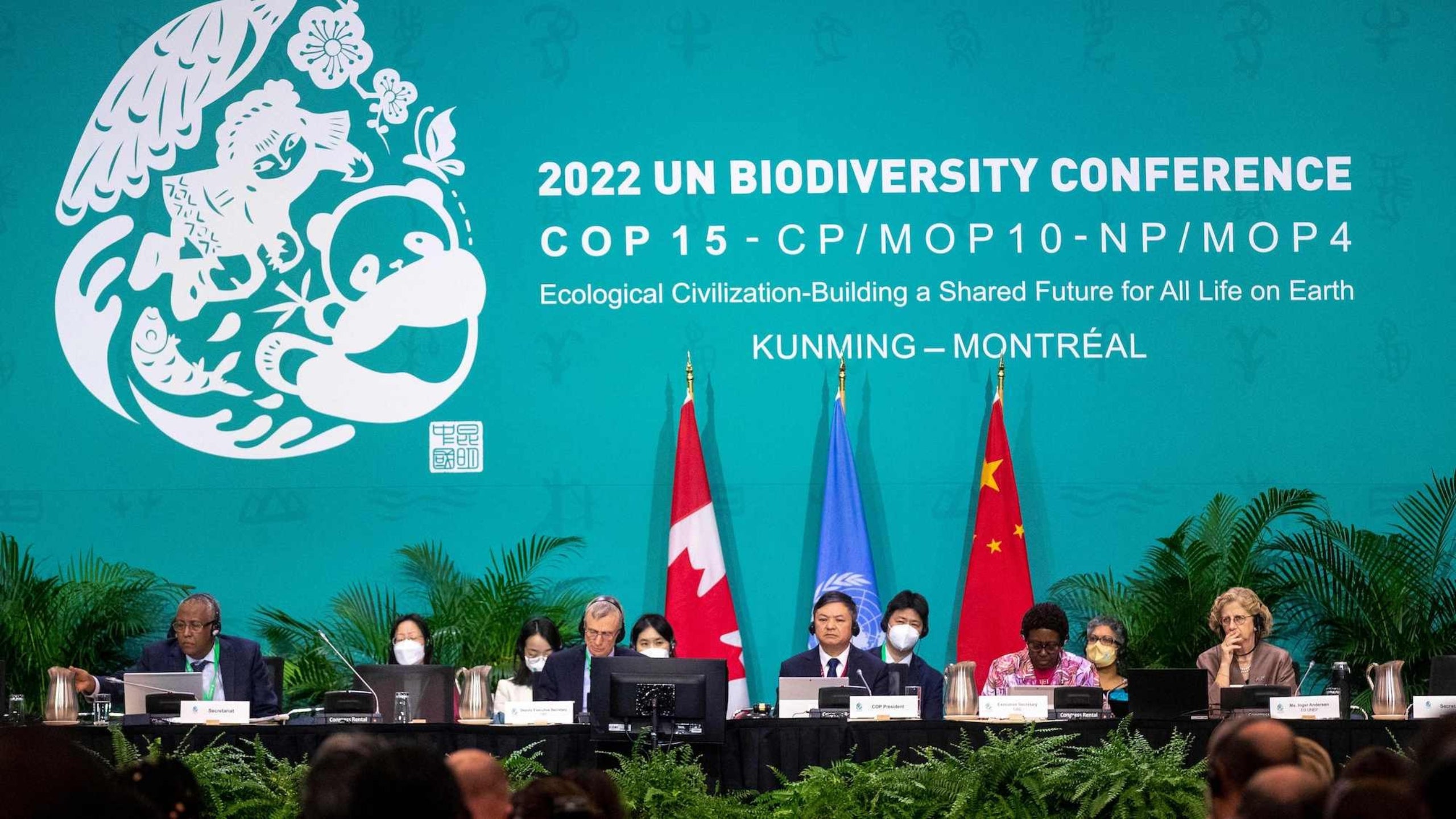 World governments strike historic deal to protect planet’s biodiversity