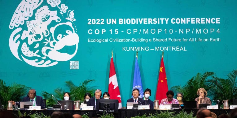 World governments strike historic deal to protect planet’s biodiversity