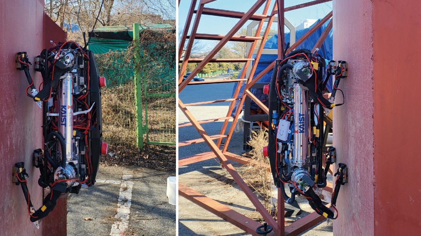 Side-by-side photos of a robot dog and its four-legged companion scaling a wall