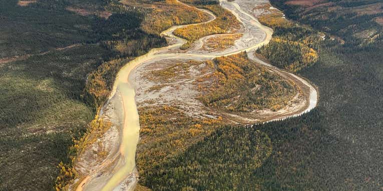 Alaska’s Arctic waterways are turning orange