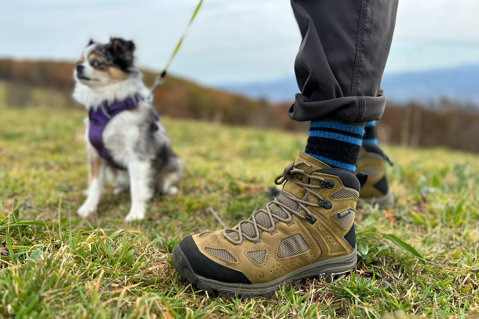 Vasque Men's Breeze waterproof hiking boots on the trail with the bestest dog