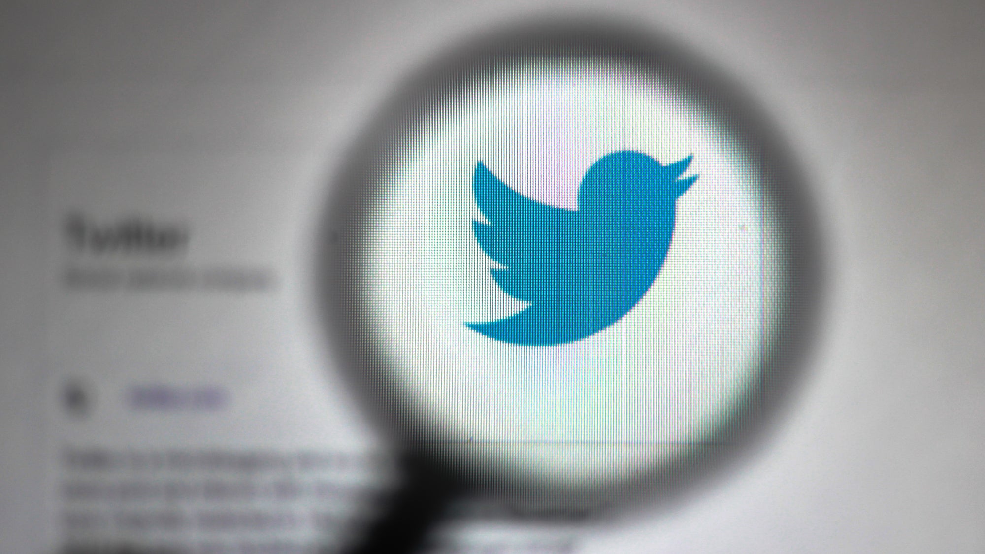 Hackers could be selling your Twitter data for the lowball price of $2 thumbnail