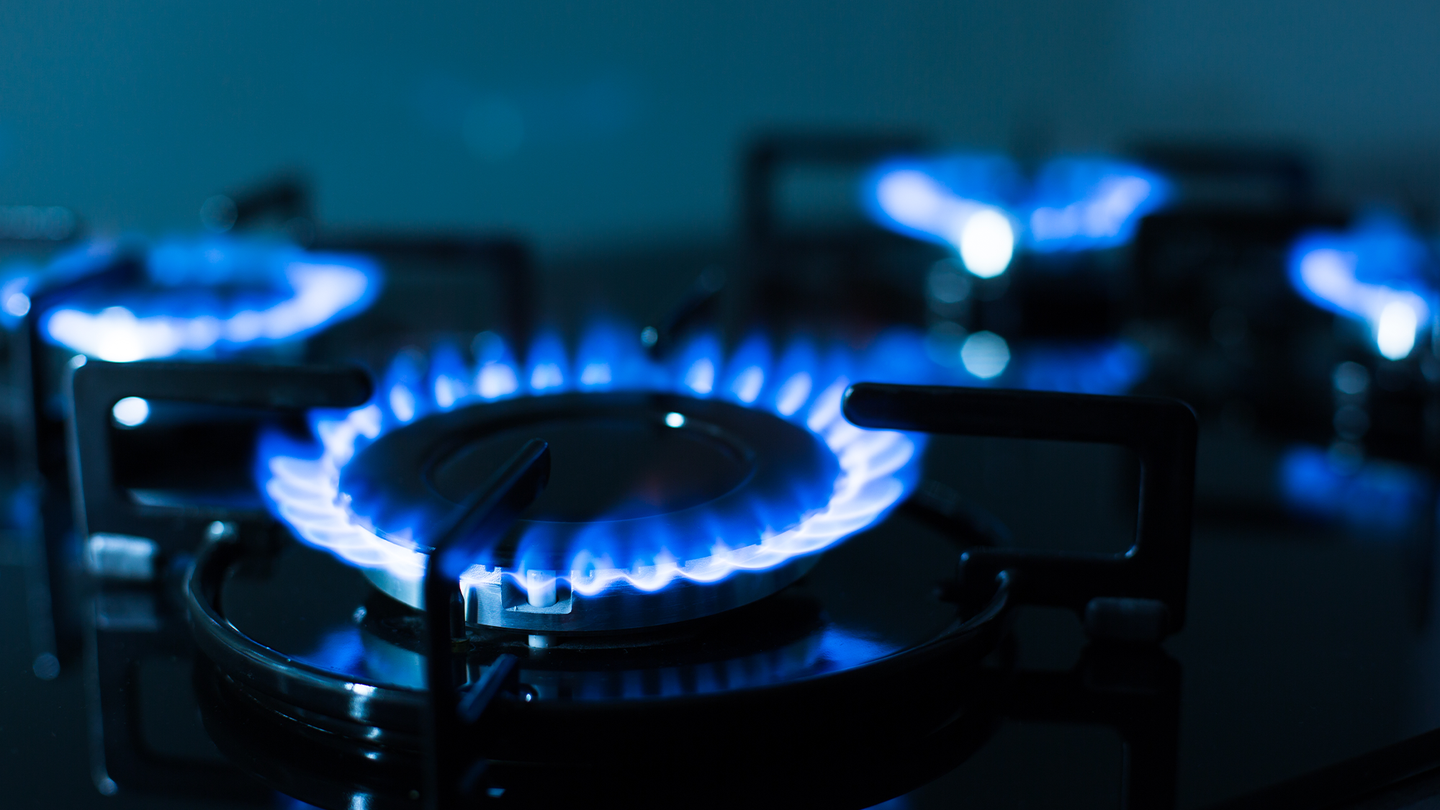 Blue flames from multiple burners on a gas stove.