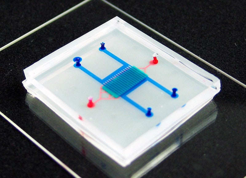 Why mimicking human organs on ‘chips’ could be a gamechanger for drug research