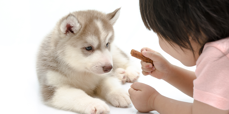 Toddlers may be wired to help their dog friends