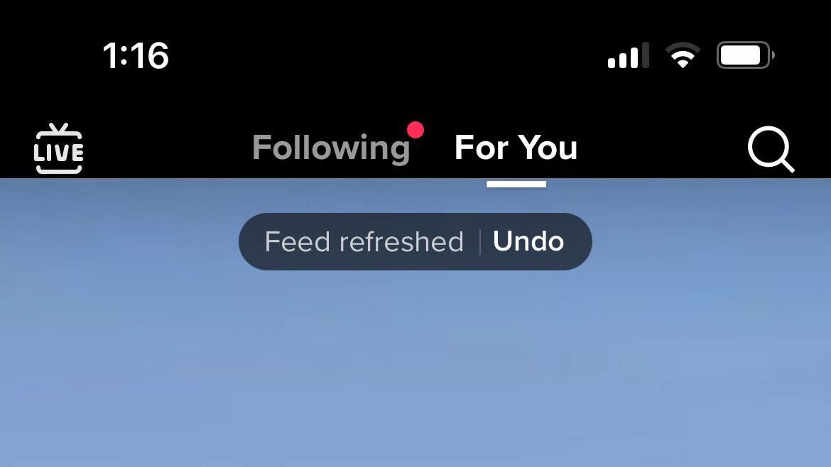 The undo button that appears after you refresh your Tiktok For You page.