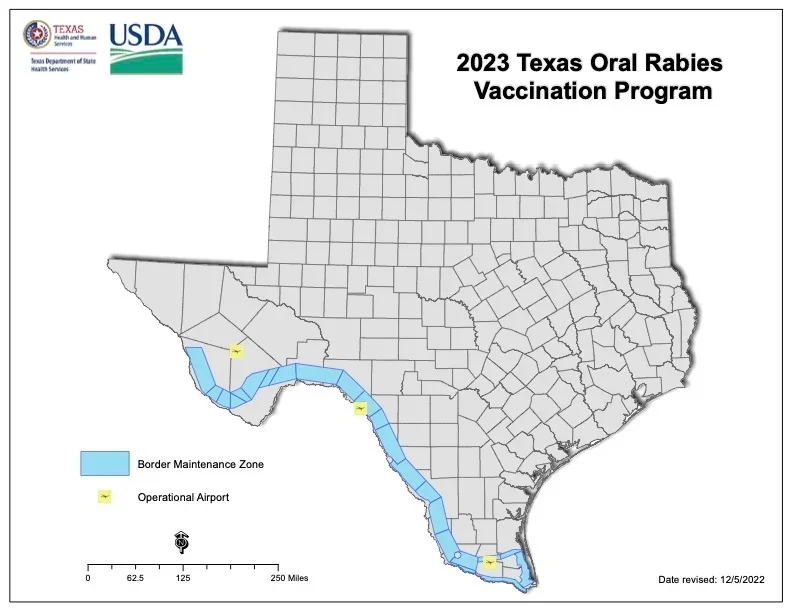 Every year in Texas, it rains rabies vaccines for coyotes and foxes