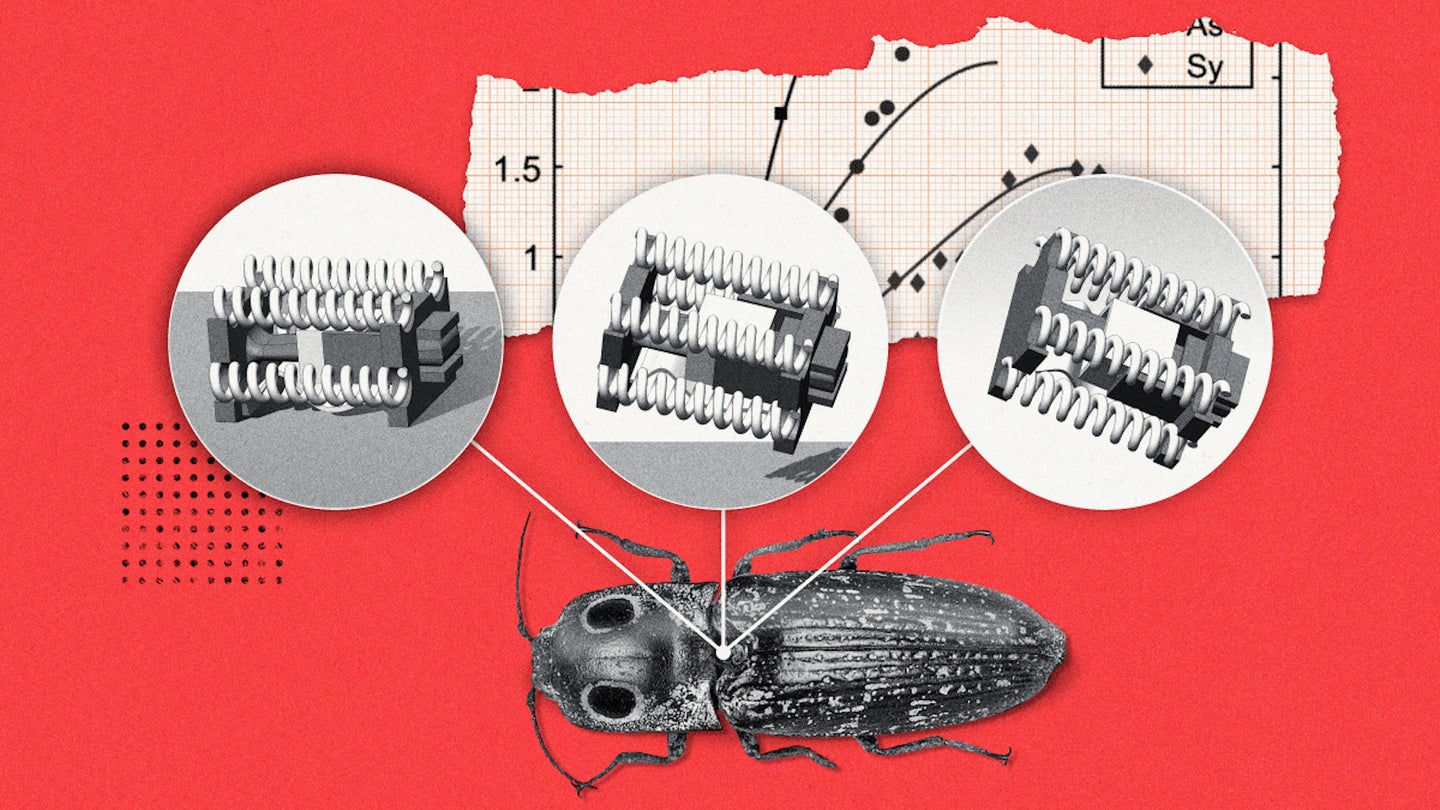 Graphic of click beetle and robotic actuators