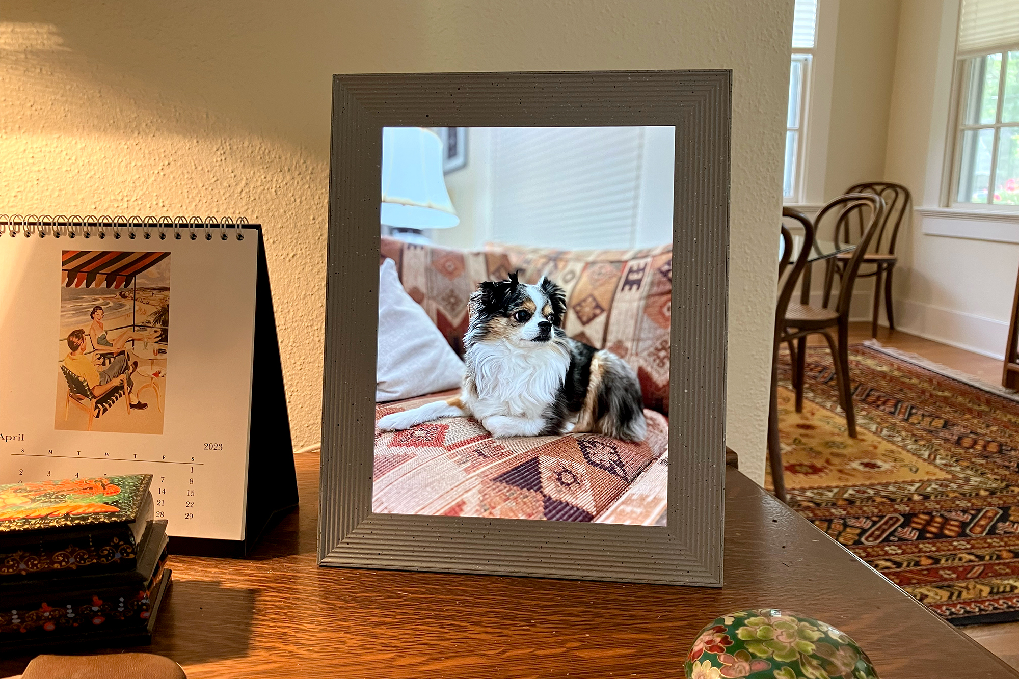 Aura Mason Luxe best overall digital picture frame showing a dog on a desk