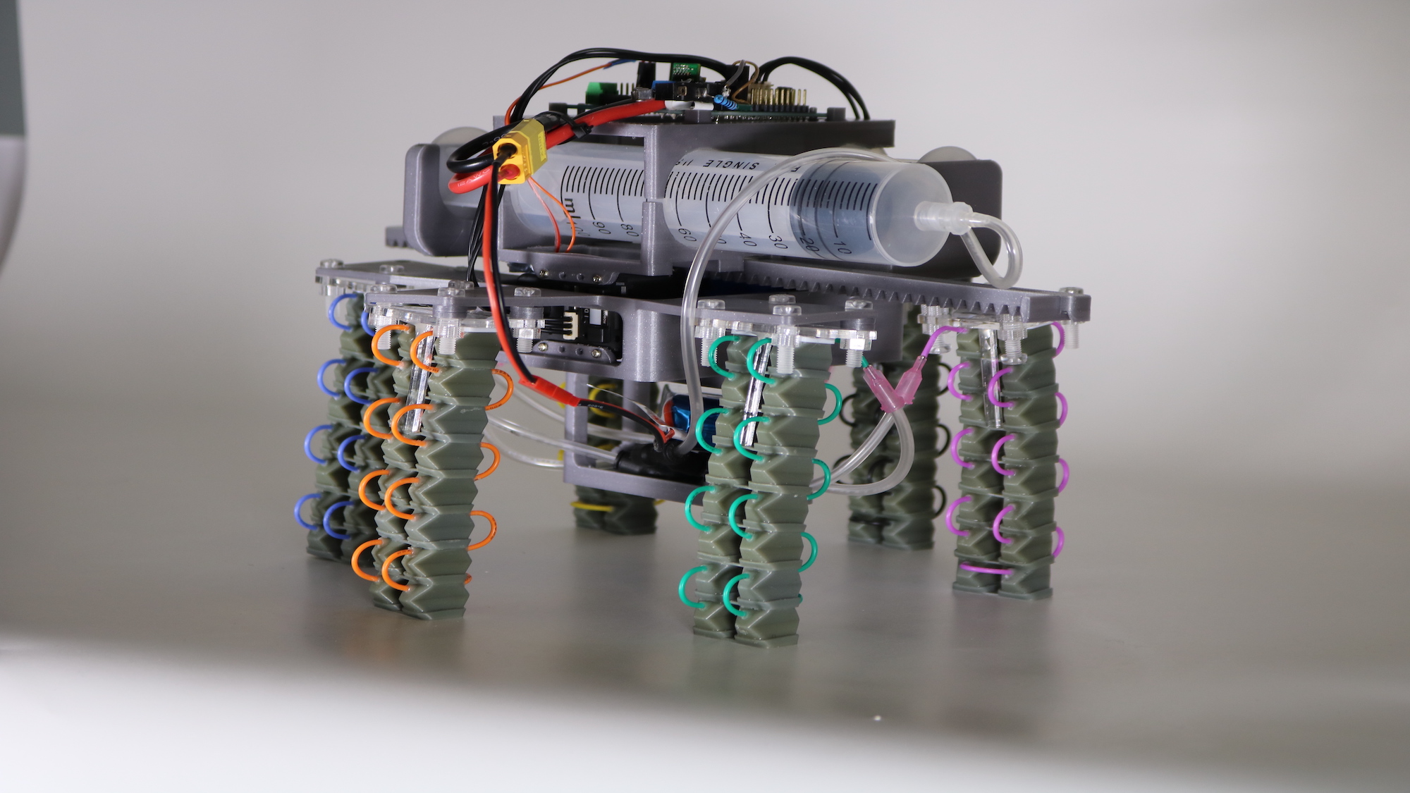 A squishy new robot uses syringes and physics to mosey along