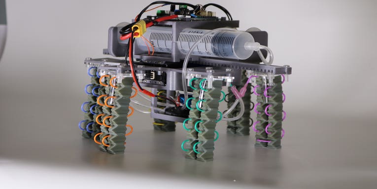 A squishy new robot uses syringes and physics to mosey along