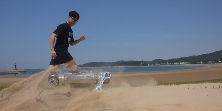 This Korean robodog proves running on sand isn’t just for ‘Baywatch’