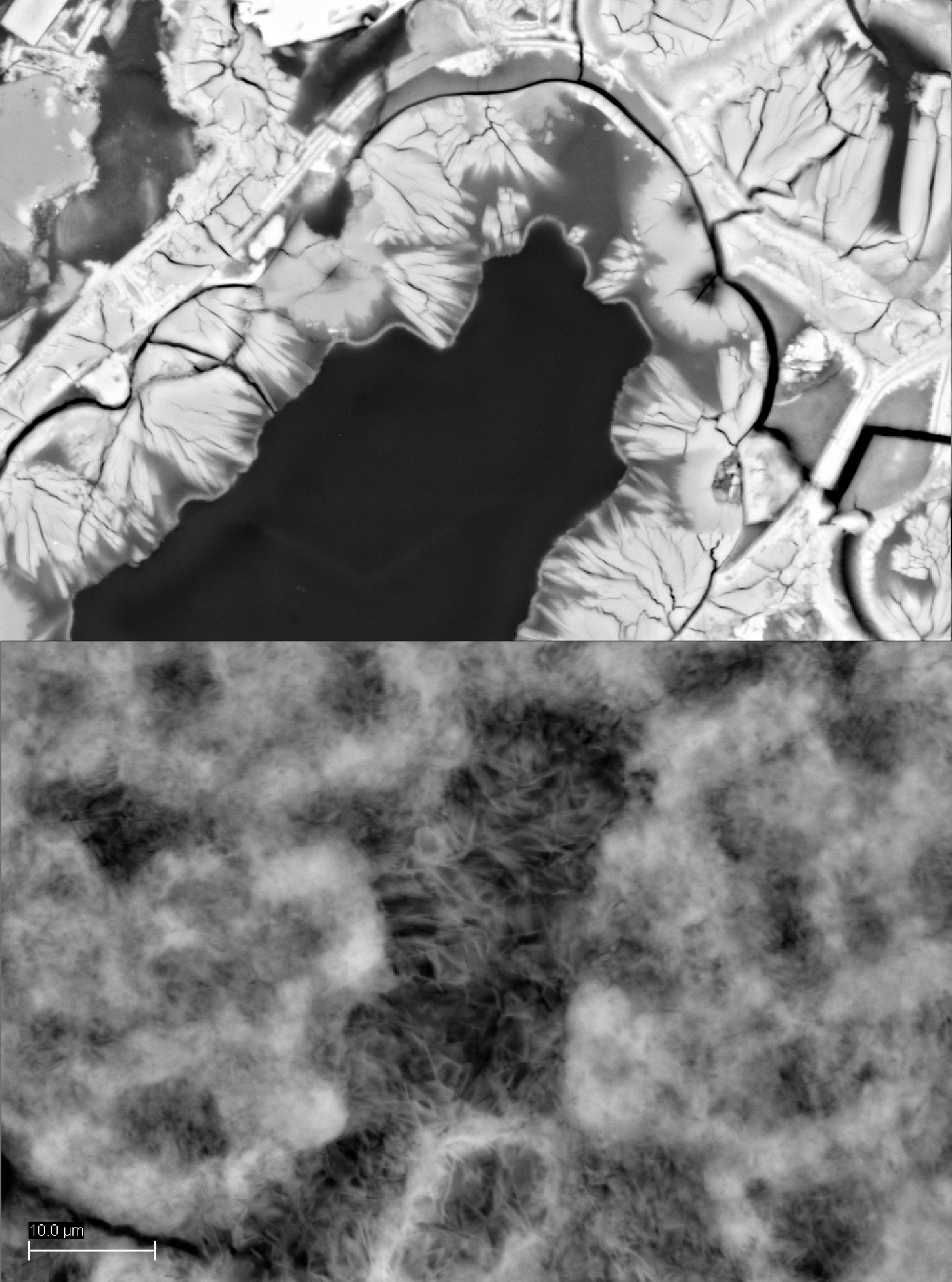 B&W closeups of pumice clast (top) and lime clast