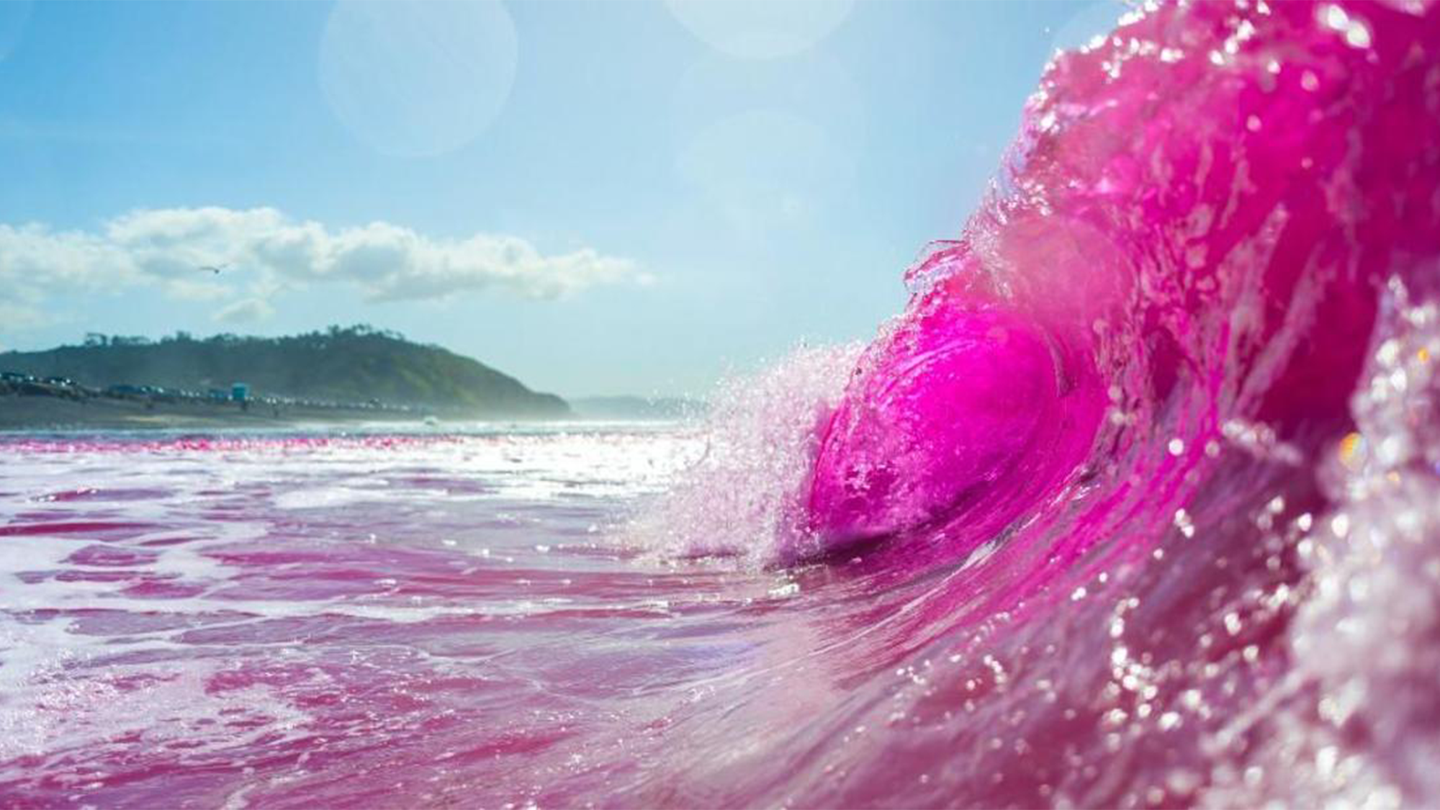 A pink wave curs in the Pacific Ocean.