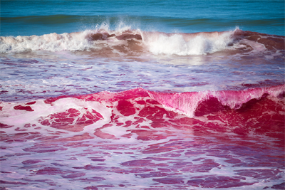 Gnarly pink waves crash near San Diego