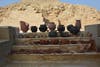 rows of ancient egyptian pots at an excavation site in front of a pyramid