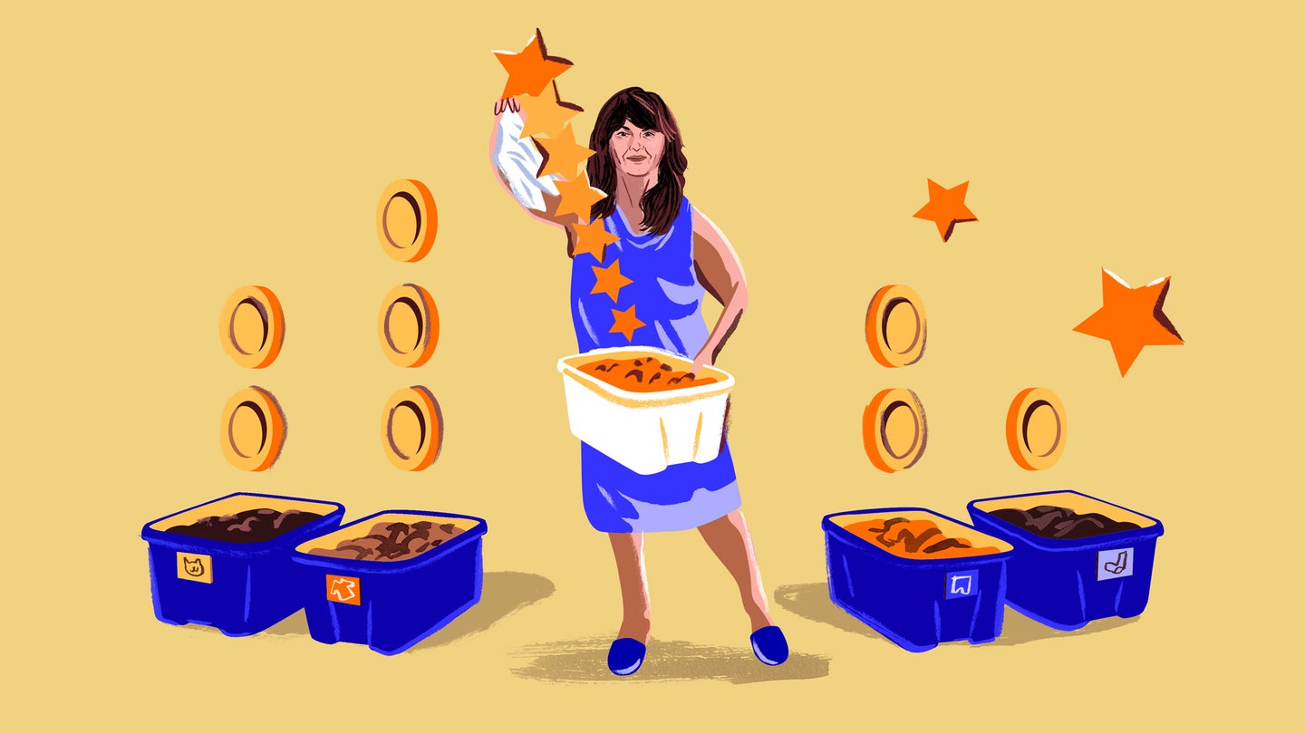Woman in a purple dress cleaning and organizing household items into buckets with gold tokens and stars. Illustrated.