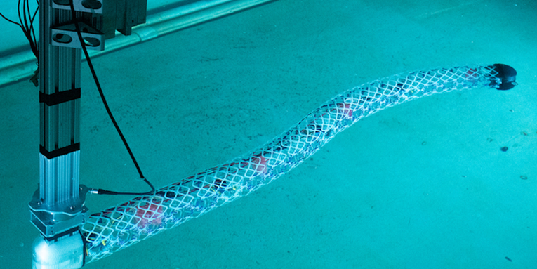 This robot eel could be the start of a new breed of ‘voxel’ robots
