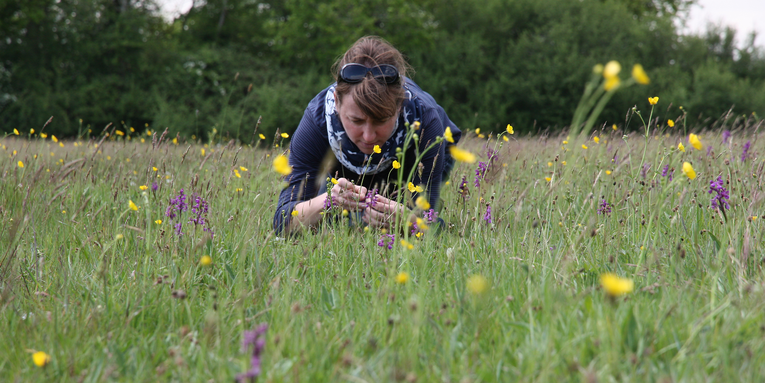 Citizen science is another great form of nature therapy